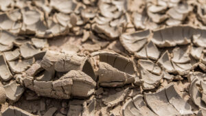 Australia_Mungo_NP-13 dried sand in australian outback