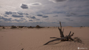 Australia_Mungo_NP-14