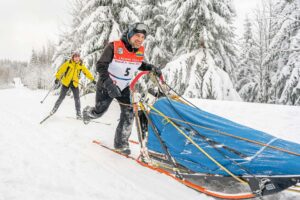 Musher on his sled and skier following him during the race in snowy mountains