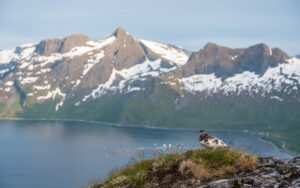 Norway_Segla-9