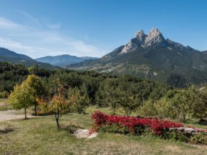 Pedraforca-11 beautiful rock monolith in the spanich pyrenees with some flowers in a foreground
