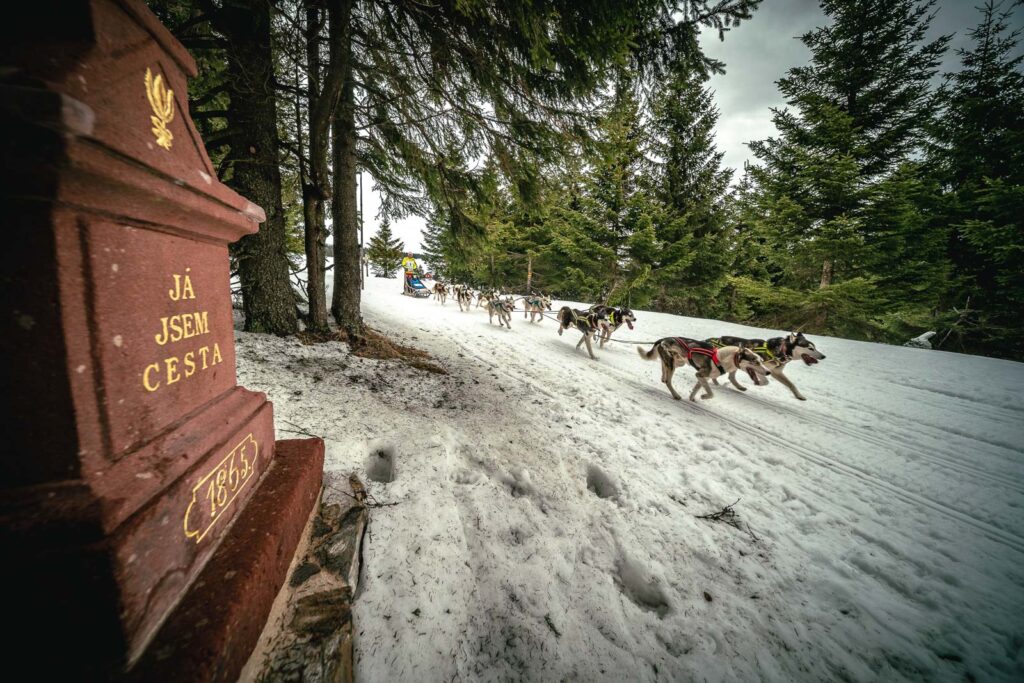Stone with inscription and dogs riding around it