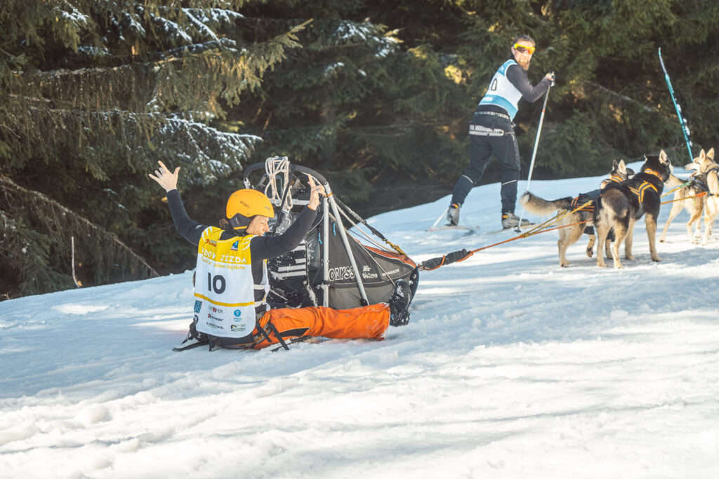 Musher sitting on the sled while being pulled by sled dogs