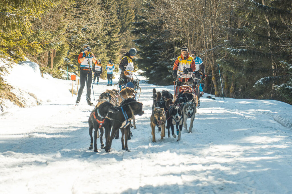 Two teams of sled dogs overtaking each others on Ledová Jízda 2026