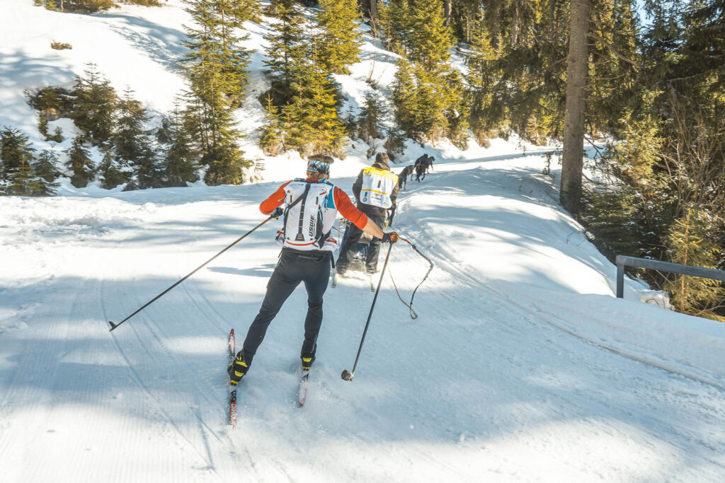 Skier and Musher turning the bend with sled dos on the race Leodvá Jízda 2026