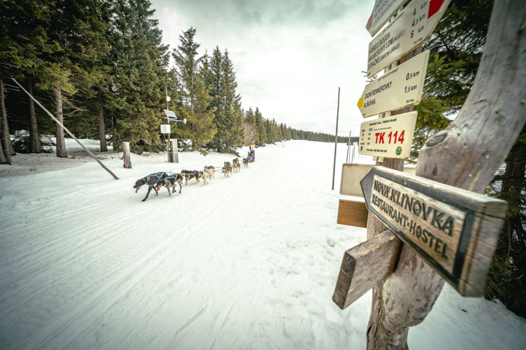 Sign post in the mountains and sleddogs riding around it
