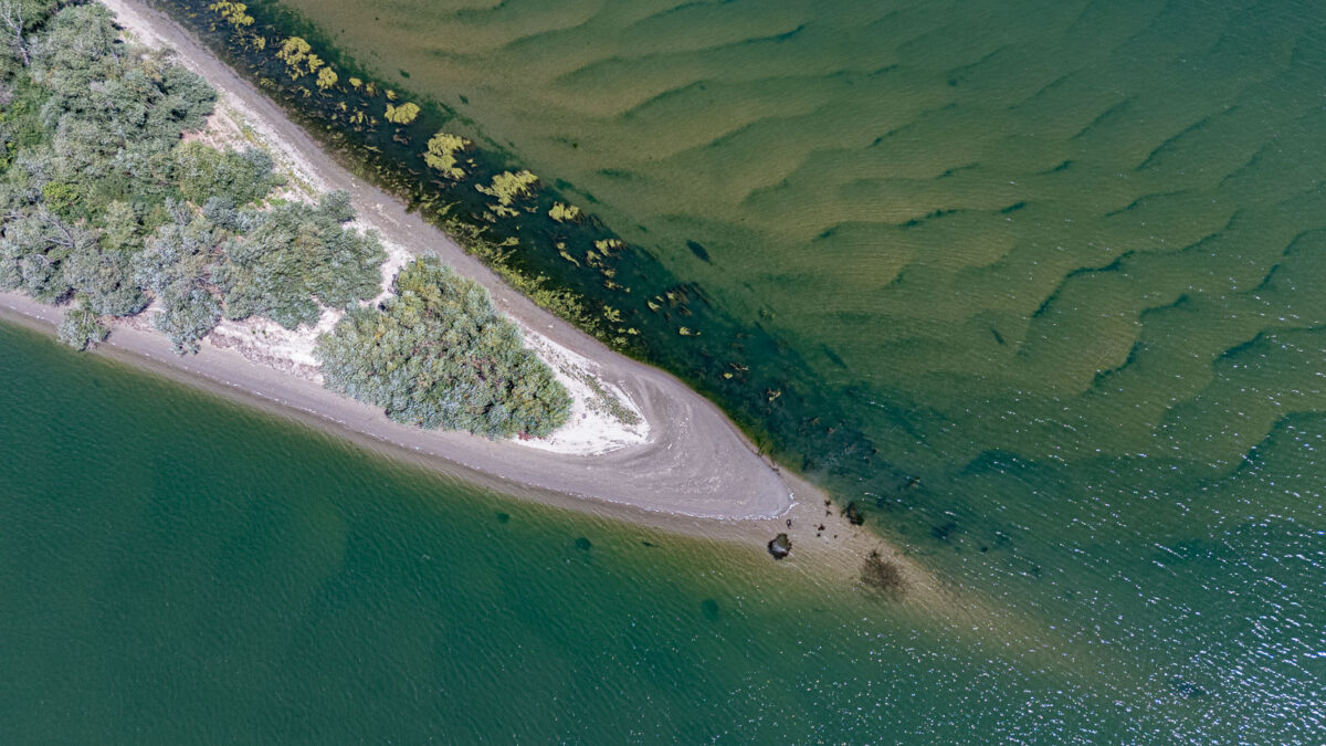 lone island in the middle of the lower Danube near Vidin