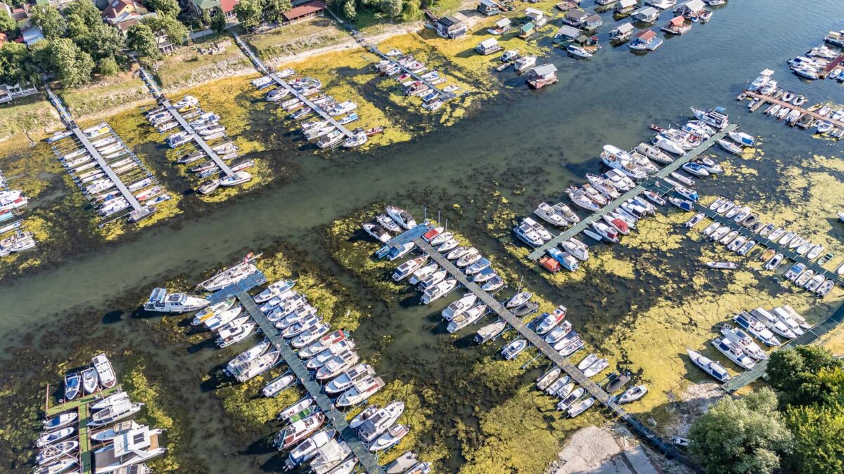 Marina in Novi sad full of green grass and boats